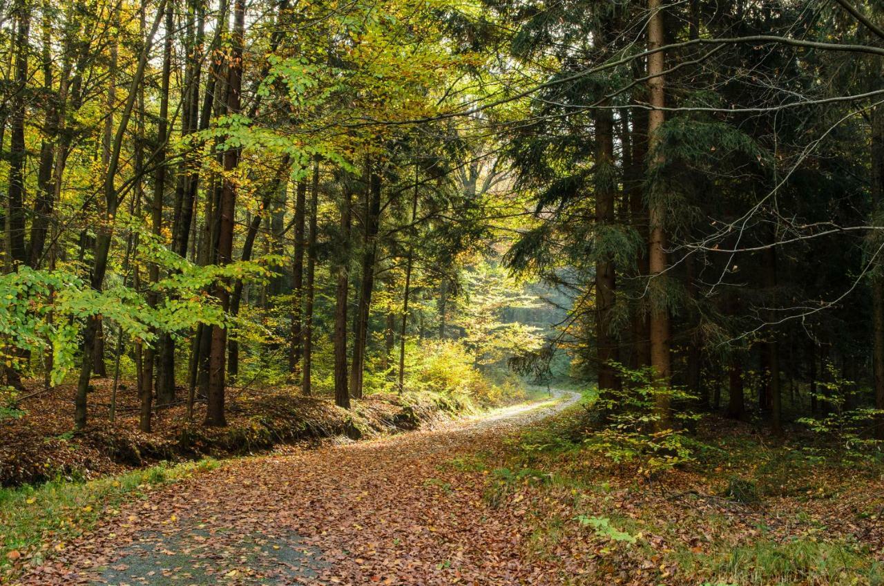 Вилла Weinberghaus Prossen Бад-Шандау Экстерьер фото